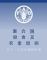 聯(lián)合國(guó)糧農(nóng)組織對(duì)木質(zhì)包裝作出新規(guī)定